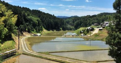 Scenery viewed from Choishimichi trail