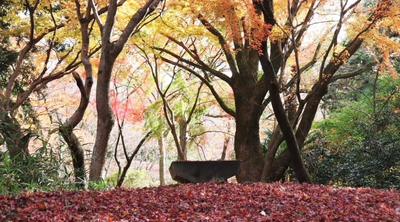 Enmeiji Momiji Park