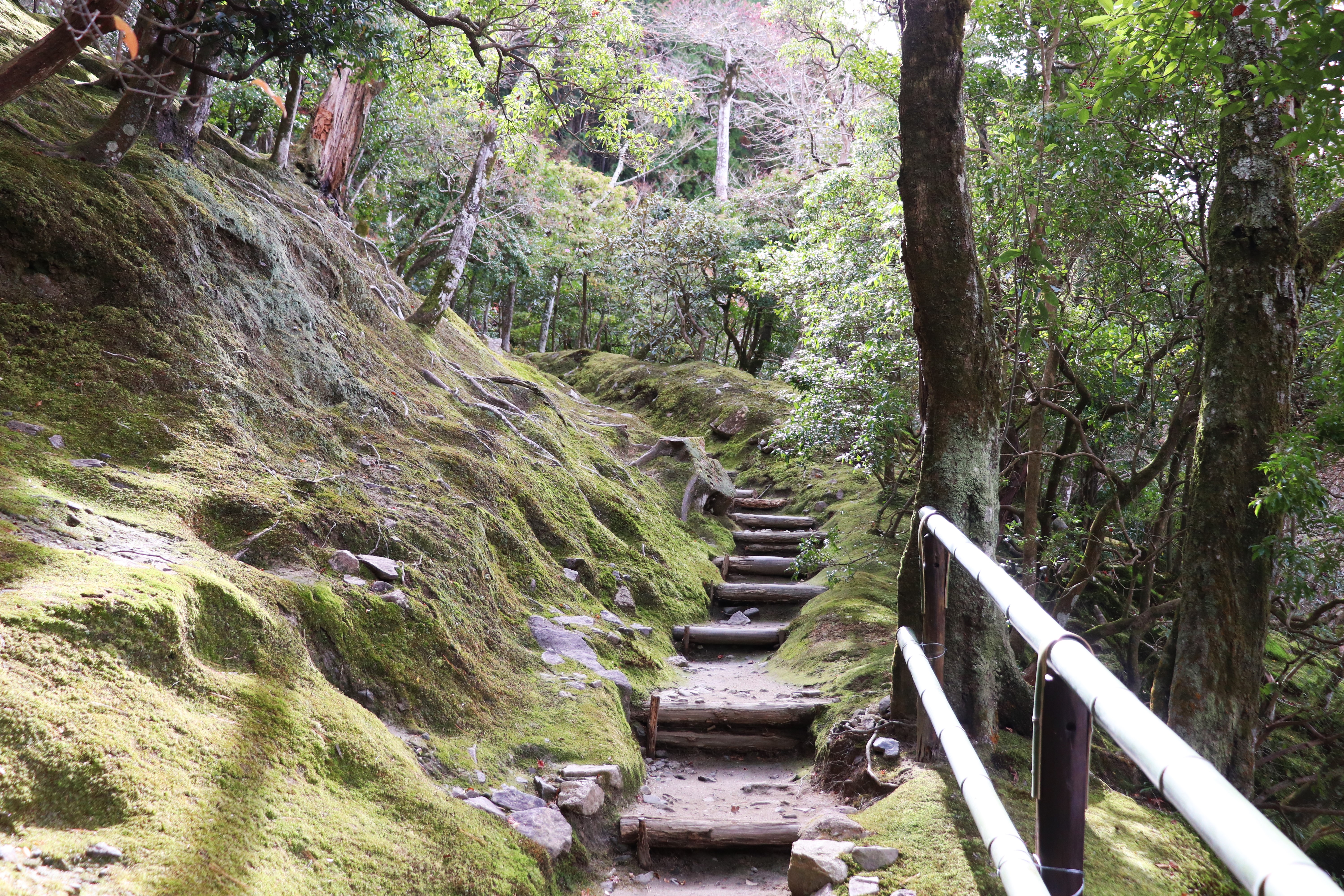 moss gardens of the ginkaku-ji in kyoto