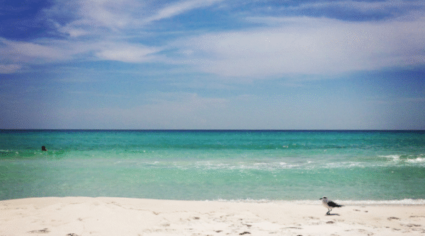 beach in America