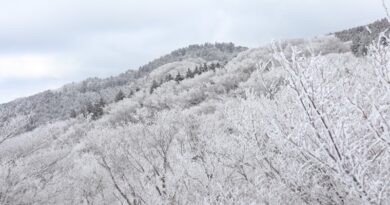 snowy Mt. Kongo