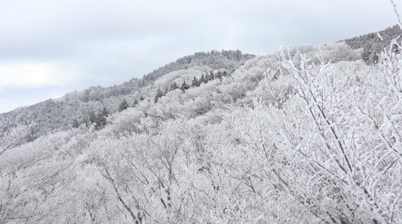 snowy Mt. Kongo