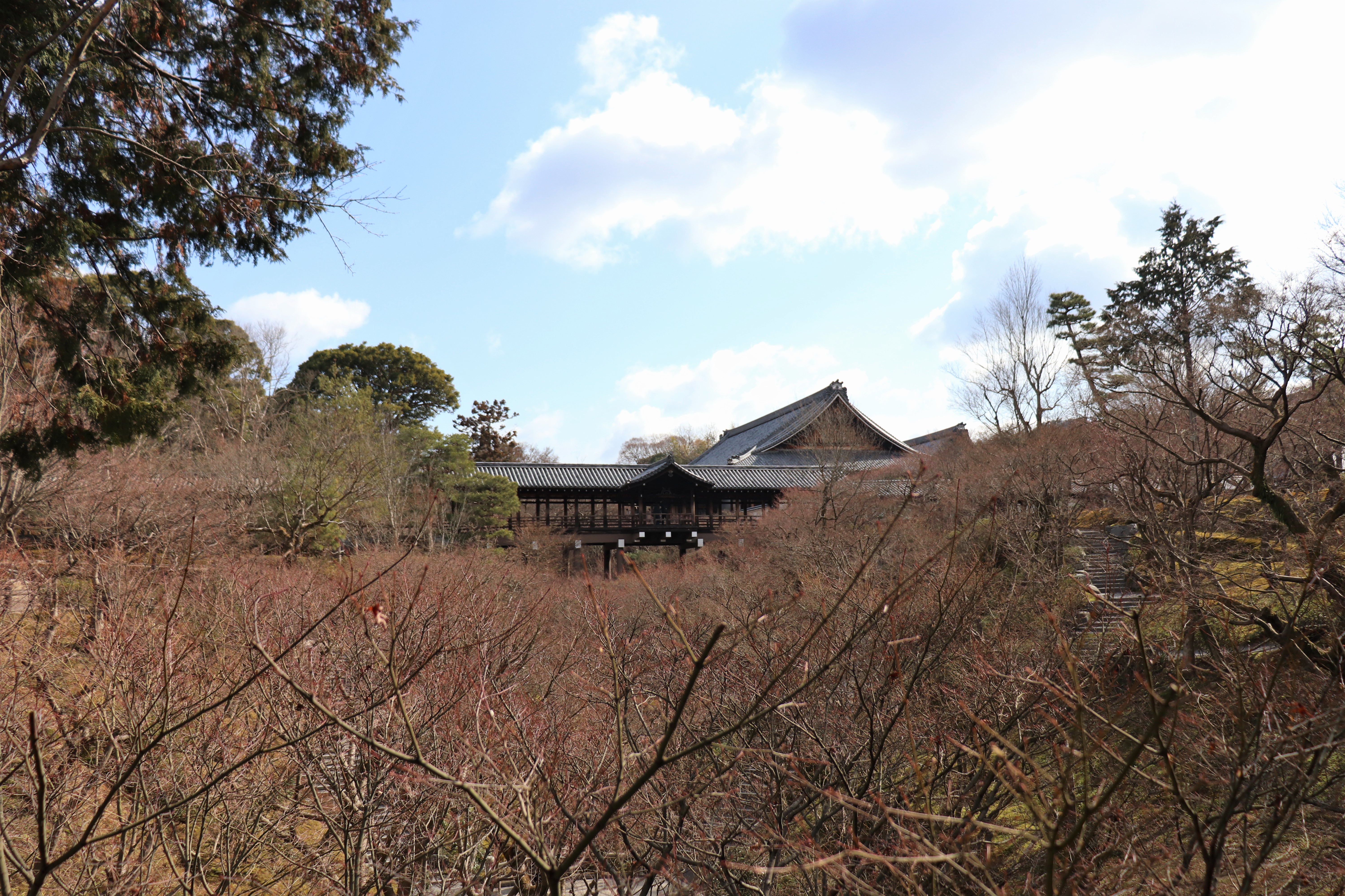 Tusten-kyo Bridge of Tofuku-ji 