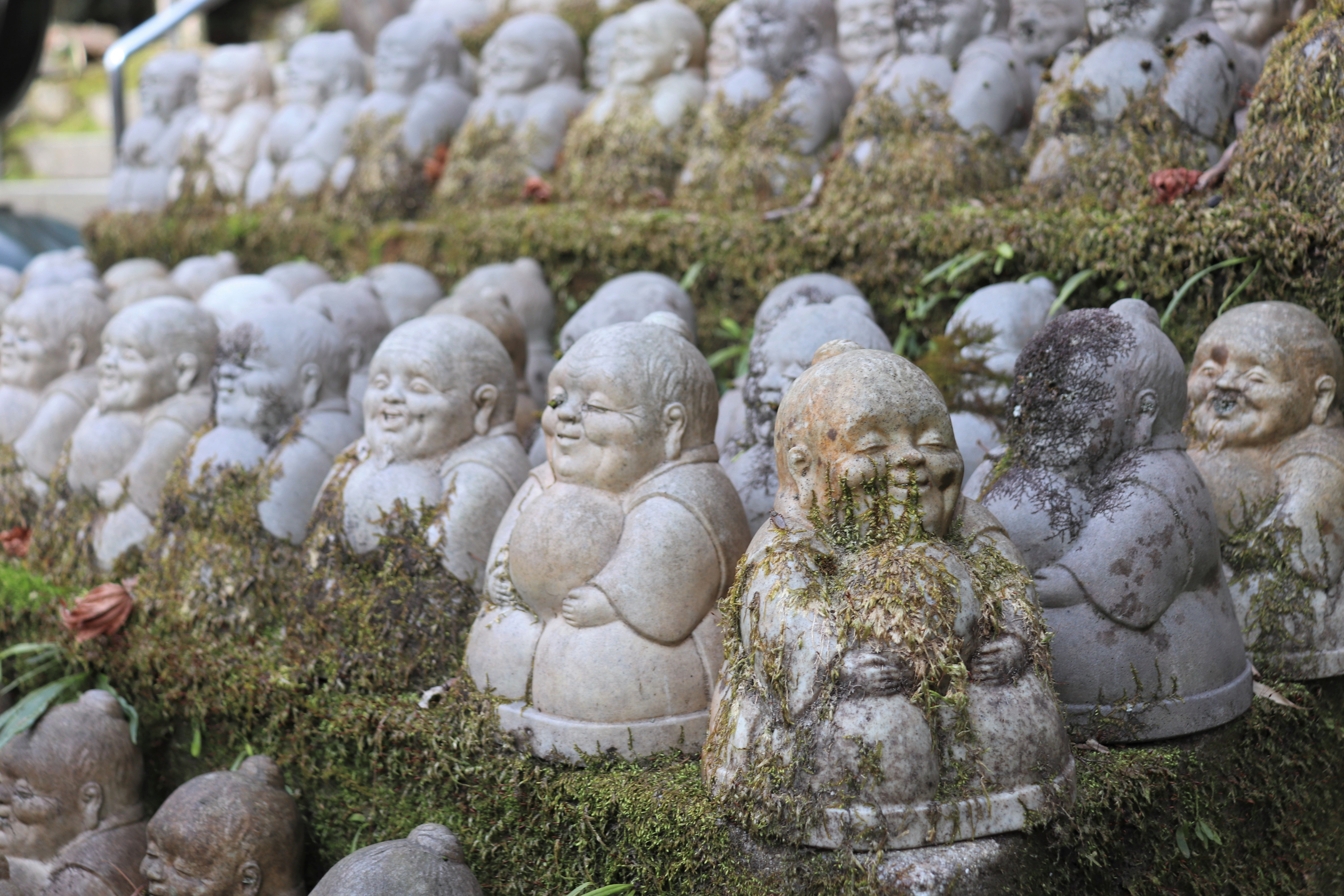 rows of small stone statues covered in moss at Imakumano Kannon-ji