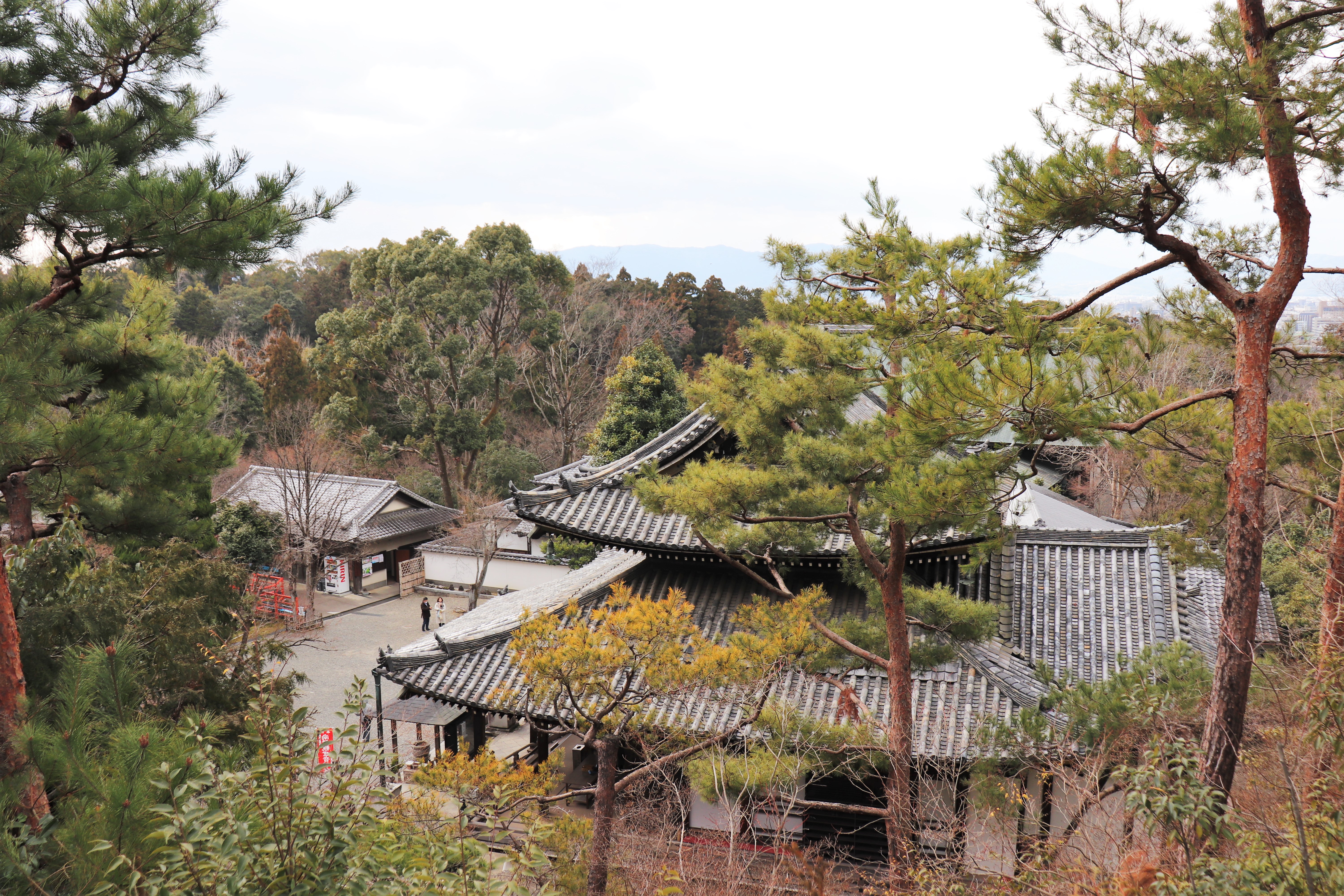 view of the temple grounds of Imakumano Kannon-ji