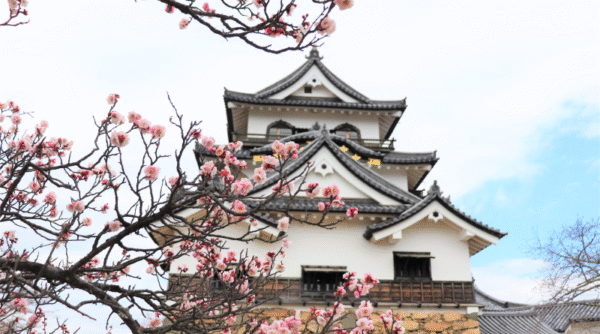 Hikone Castle