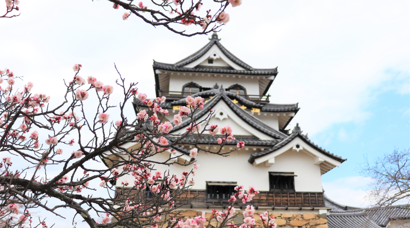Hikone Castle