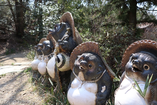 tanuki dolls