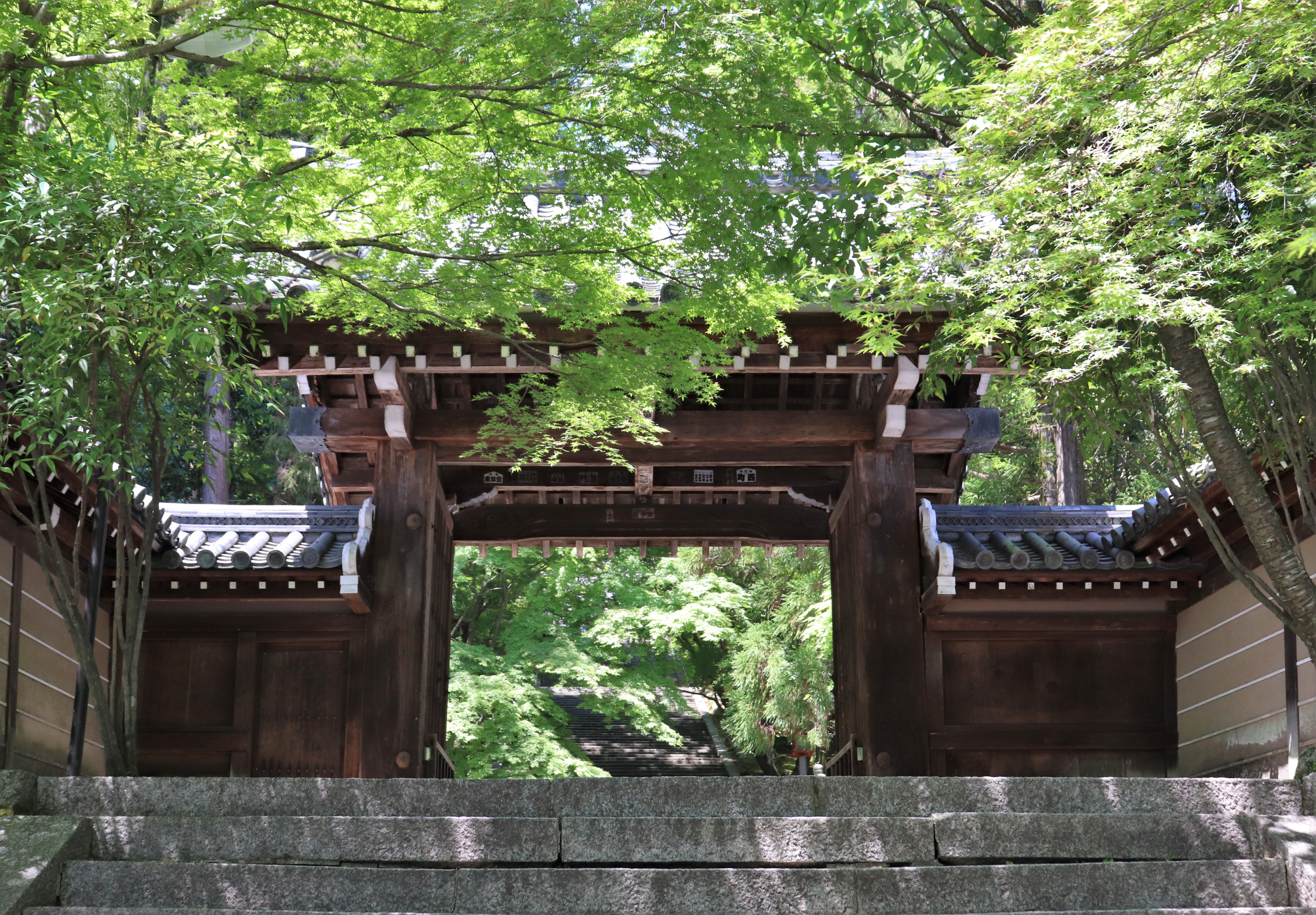 Entrance of Horin-ji Temple in Arashiyama