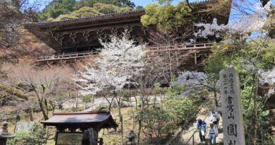 shoshasan engyo-ji temple