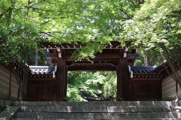 The gate of Horin-ji 