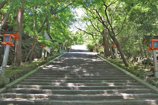 path leading to hondo of Horin-ji 