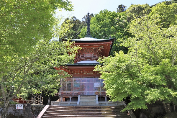 pagoda at Horin-ji 