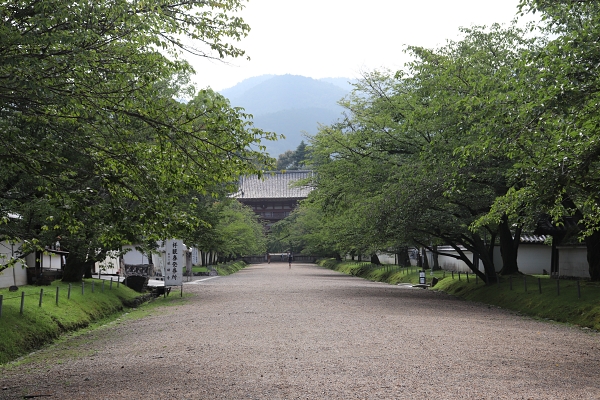 Entrance to Daigo Temple