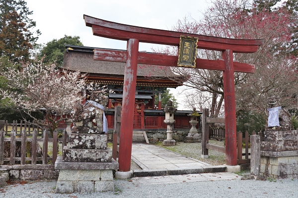 Itoku Tenmangu is Kinpusen-ji 