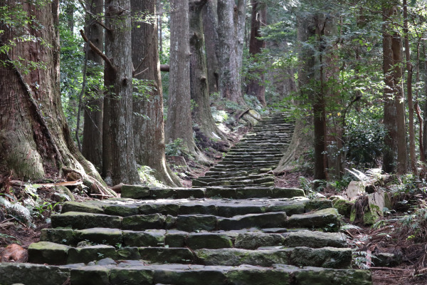 Daimonzaka Trail on the Nakahechi Trail, Kumano Kodo