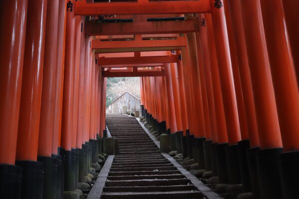 Torii tunnel in Fushimi Inari Shrine 