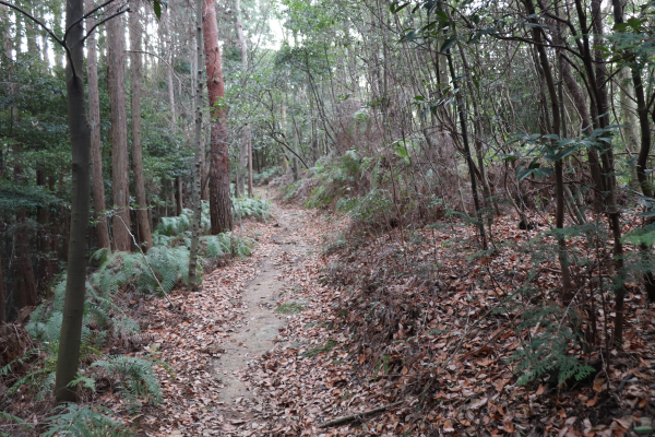 阿弥陀が峰