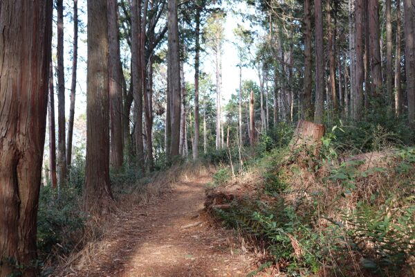 Higashiyama Course on Mt. Kiyomizuyama 