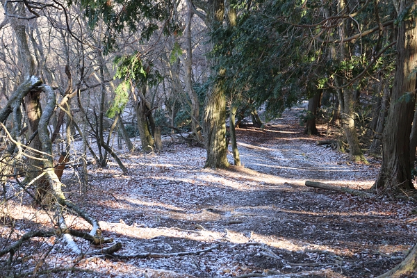 Between Mt. Mizuyama and Mt. Yokotakayama of Higashiyama East Course