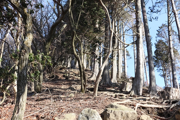 Climbing up Mt. Mizuiyama