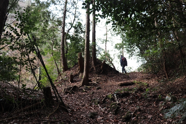 The path to Mt. Konpira