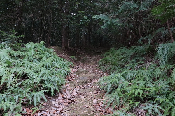 To Yakuozaka Slope