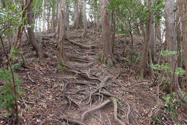 北山西部コースの夜泣き峠