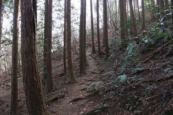 盗人谷の後半部の坂