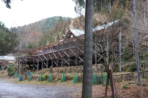 北山西部コースの森のレストラン