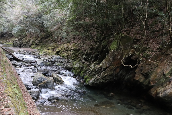 北山西部コースの清滝川沿いの道