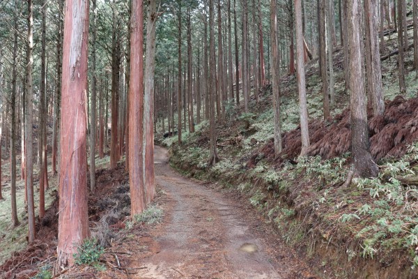 Keihoku Course part of the Kyoto Circuit Trail
