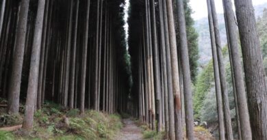 kitayama west course