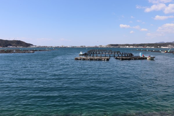 Fishery on Kii Oshima Island