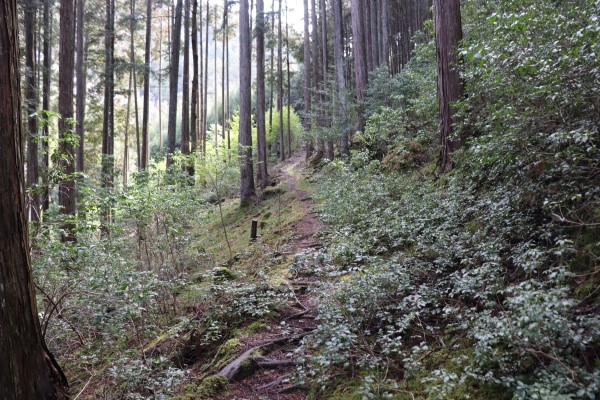 黒尾山への登り