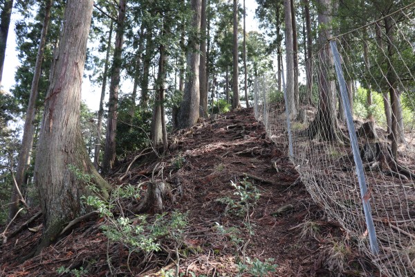 柵沿いの京北コース