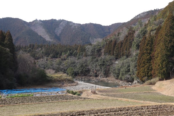 上桂川