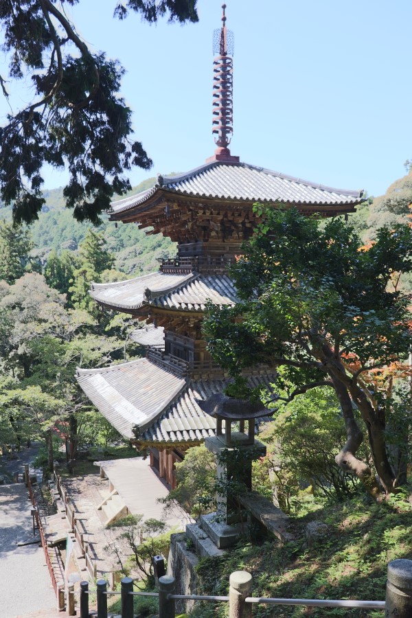 pagoda of Ichijo-ji Temple