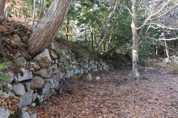 Ruins of Kannon-ji Castle castle walls