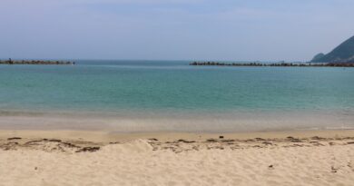 takenohama beach