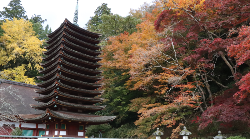 Fall foliage in Tanzan Shrine