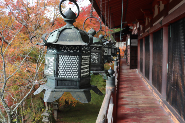 Beautiful fall foliage in Tanzan Shrine 