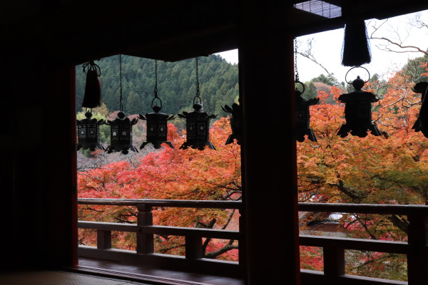 Beautiful fall foliage in Tanzan Shrine 