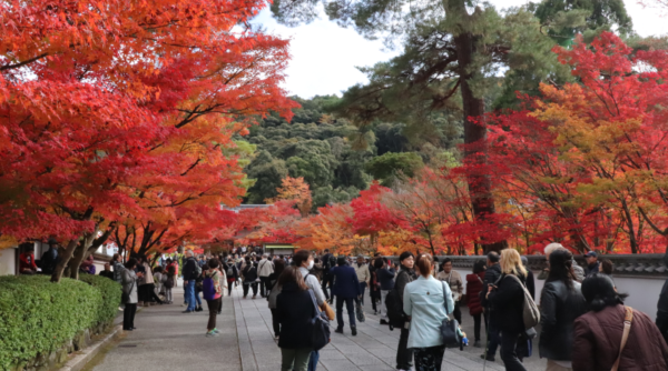 Fall foliage in Eikan-do