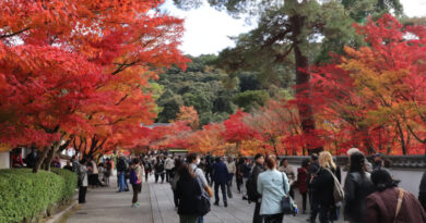 永観堂の紅葉
