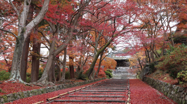 Fall foliage in Bishamondo