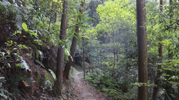 Diamond Trail to Sefukuji