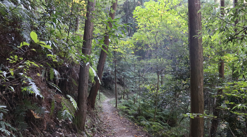 Diamond Trail to Sefukuji