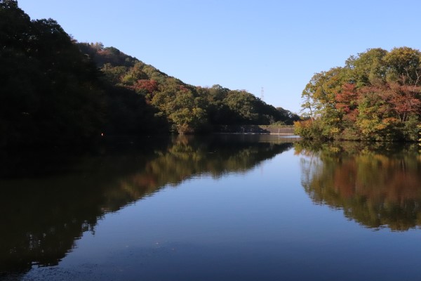 Shirohata Pond on the Ikoma Nature Trail