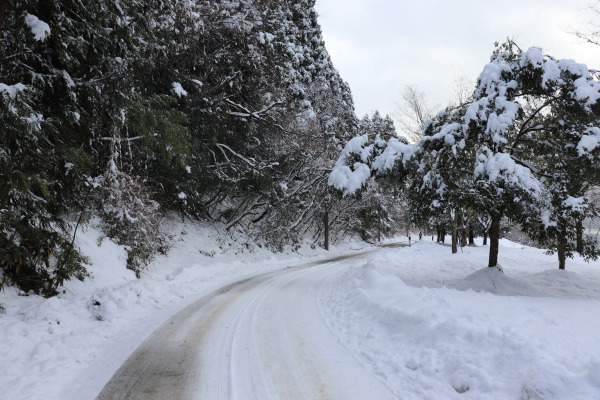 Road near Lake Yogo